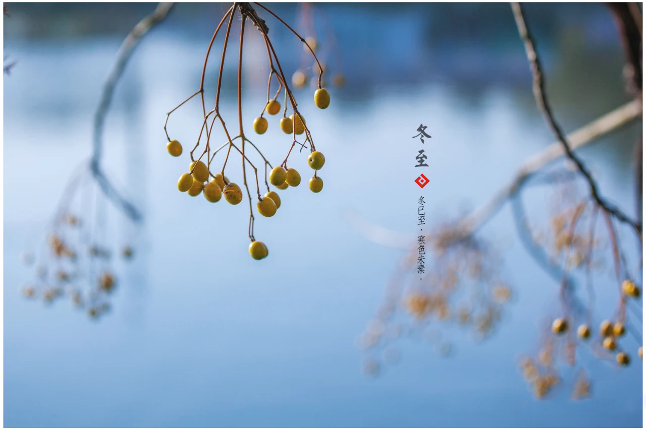 冬至已至，春歸有期